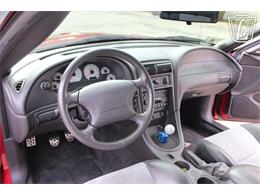 2003 Ford Mustang SVT Cobra (CC-2085365) for sale in Crete, Illinois