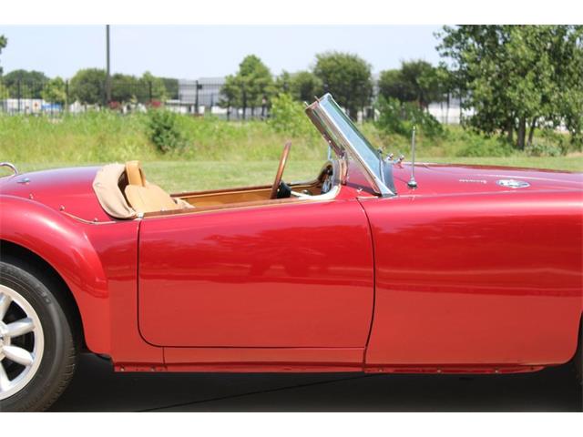 1962 MG MGA (CC-2085374) for sale in Grapevine, Texas