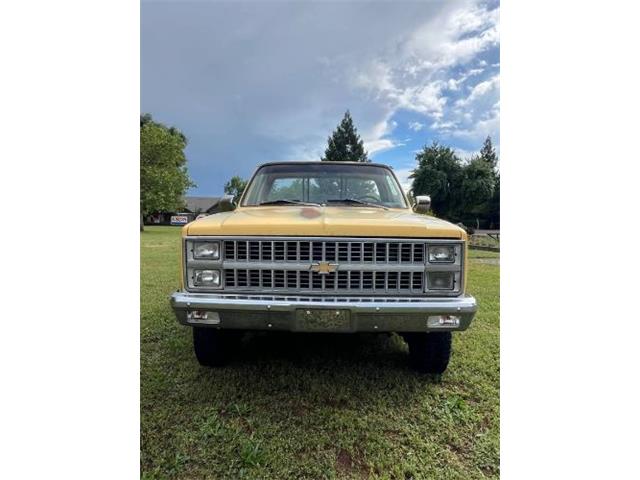 1981 Chevrolet Silverado (CC-2085376) for sale in Cadillac, Michigan