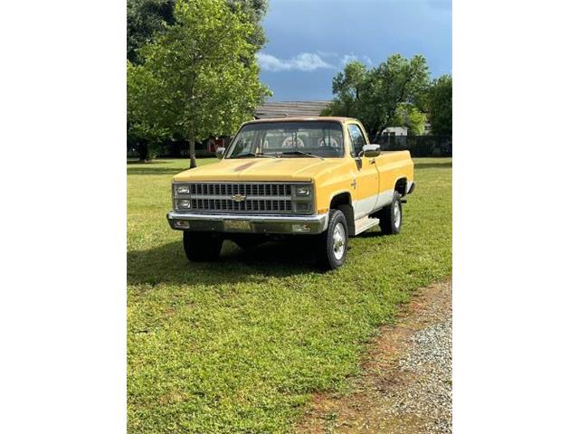 1981 Chevrolet Silverado (CC-2085376) for sale in Cadillac, Michigan