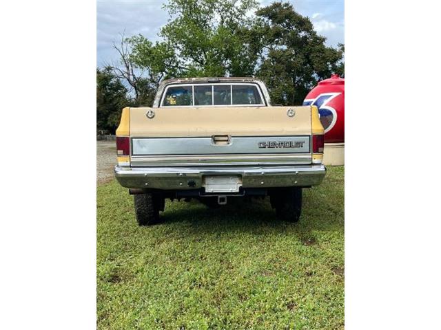1981 Chevrolet Silverado (CC-2085376) for sale in Cadillac, Michigan