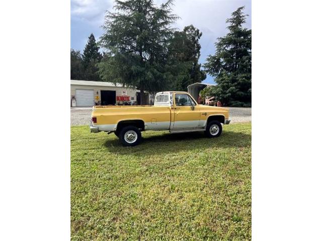 1981 Chevrolet Silverado (CC-2085376) for sale in Cadillac, Michigan