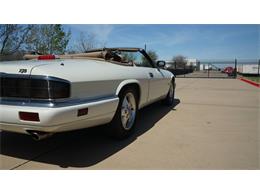 1995 Jaguar XJS (CC-2085390) for sale in Grapevine, Texas