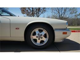 1995 Jaguar XJS (CC-2085390) for sale in Grapevine, Texas