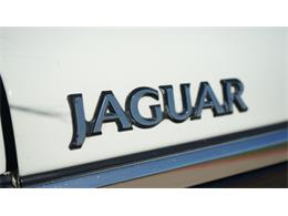 1995 Jaguar XJS (CC-2085390) for sale in Grapevine, Texas