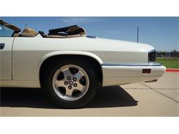 1995 Jaguar XJS (CC-2085390) for sale in Grapevine, Texas
