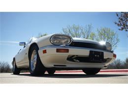 1995 Jaguar XJS (CC-2085390) for sale in Grapevine, Texas
