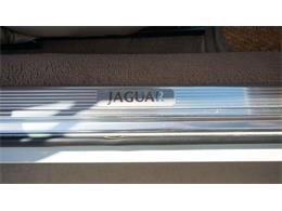 1995 Jaguar XJS (CC-2085390) for sale in Grapevine, Texas