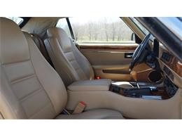 1995 Jaguar XJS (CC-2085390) for sale in Grapevine, Texas