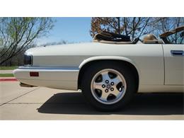 1995 Jaguar XJS (CC-2085390) for sale in Grapevine, Texas