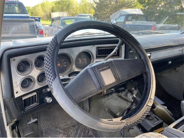 1984 Chevrolet Blazer (CC-2085411) for sale in Cadillac, Michigan