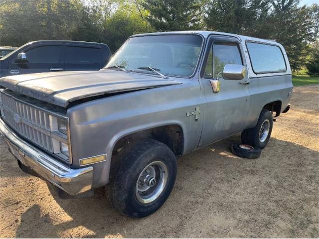 1984 Chevrolet Blazer (CC-2085411) for sale in Cadillac, Michigan