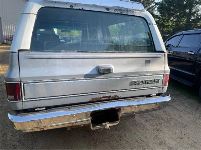 1984 Chevrolet Blazer (CC-2085411) for sale in Cadillac, Michigan
