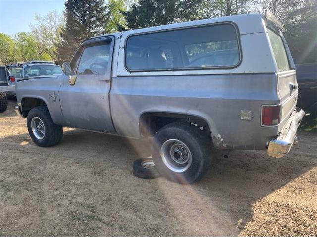 1984 Chevrolet Blazer (CC-2085411) for sale in Cadillac, Michigan