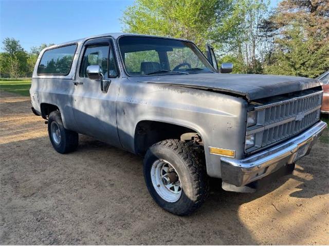 1984 Chevrolet Blazer (CC-2085411) for sale in Cadillac, Michigan