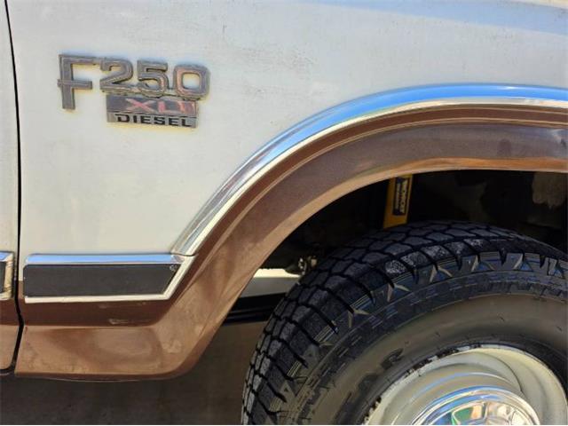 1984 Ford F250 (CC-2085416) for sale in Cadillac, Michigan