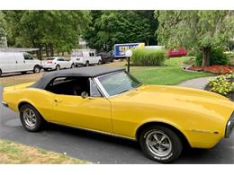 1967 Pontiac Firebird (CC-2085417) for sale in Cadillac, Michigan