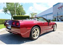 2003 Chevrolet Corvette (CC-2085437) for sale in Sarasota, Florida