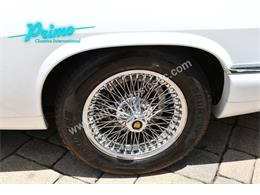 1996 Jaguar XJ (CC-2085470) for sale in Lakeland, Florida