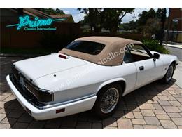 1996 Jaguar XJ (CC-2085470) for sale in Lakeland, Florida