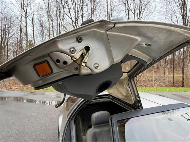 1982 DeLorean DMC-12 (CC-2080548) for sale in Saugatuck, Michigan