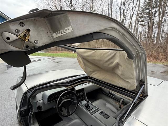 1982 DeLorean DMC-12 (CC-2080548) for sale in Saugatuck, Michigan
