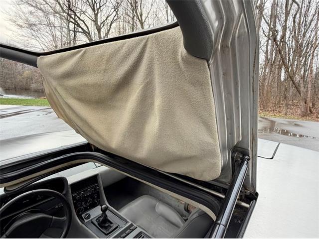 1982 DeLorean DMC-12 (CC-2080548) for sale in Saugatuck, Michigan