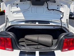 2007 Ford Mustang (CC-2085515) for sale in Edison, New Jersey