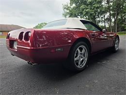 1994 Chevrolet Corvette C4 (CC-2085586) for sale in Canton, Ohio