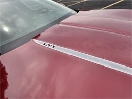 1994 Chevrolet Corvette C4 (CC-2085586) for sale in Canton, Ohio