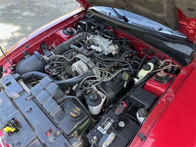 1998 Ford Mustang GT (CC-2085594) for sale in OAKLAND, California