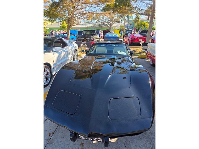 1979 Chevrolet Corvette (CC-2085596) for sale in Naples, Florida