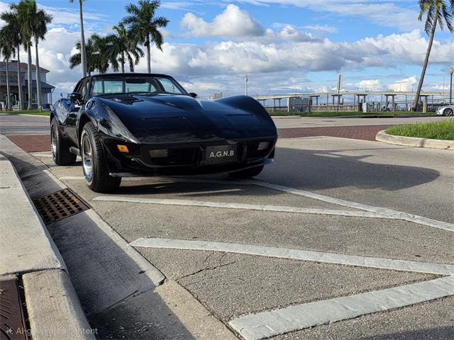 1979 Chevrolet Corvette (CC-2085596) for sale in Naples, Florida