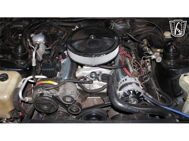 1992 Pontiac Firebird (CC-2085631) for sale in Peoria, Arizona