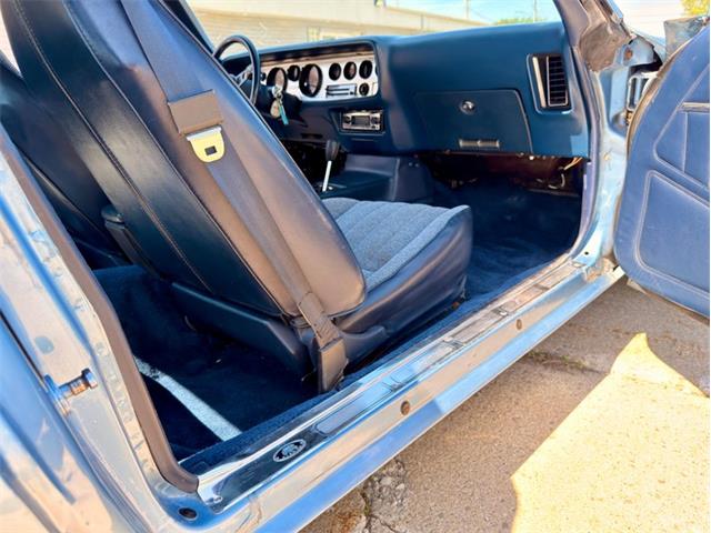 1981 Pontiac Firebird (CC-2080564) for sale in Fenton, Michigan
