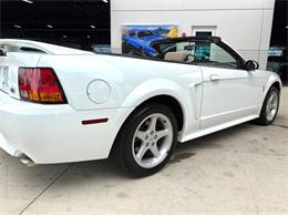 1999 Ford Mustang SVT Cobra (CC-2085650) for sale in Bradenton, Florida