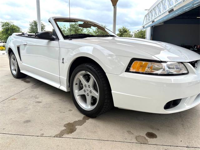 1999 Ford Mustang SVT Cobra (CC-2085650) for sale in Bradenton, Florida