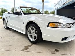 1999 Ford Mustang SVT Cobra (CC-2085650) for sale in Bradenton, Florida