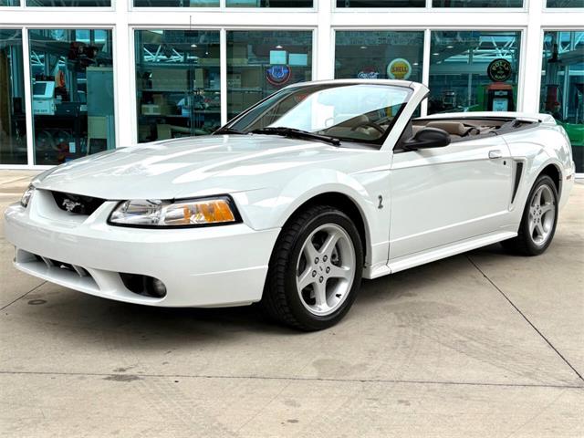 1999 Ford Mustang SVT Cobra (CC-2085650) for sale in Bradenton, Florida