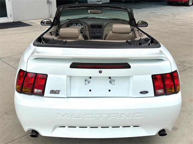 1999 Ford Mustang SVT Cobra (CC-2085650) for sale in Bradenton, Florida