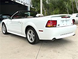 1999 Ford Mustang SVT Cobra (CC-2085650) for sale in Bradenton, Florida