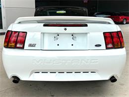 1999 Ford Mustang SVT Cobra (CC-2085650) for sale in Bradenton, Florida