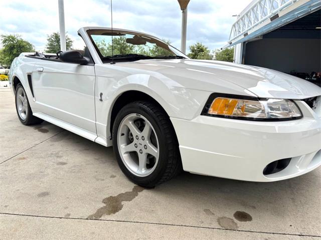 1999 Ford Mustang SVT Cobra (CC-2085650) for sale in Bradenton, Florida