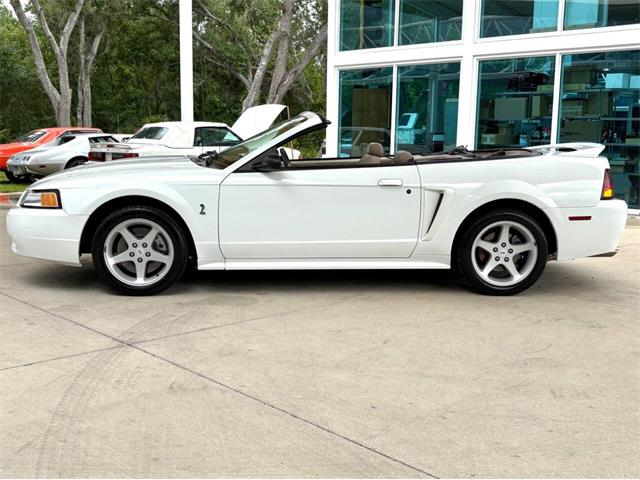 1999 Ford Mustang SVT Cobra (CC-2085650) for sale in Bradenton, Florida