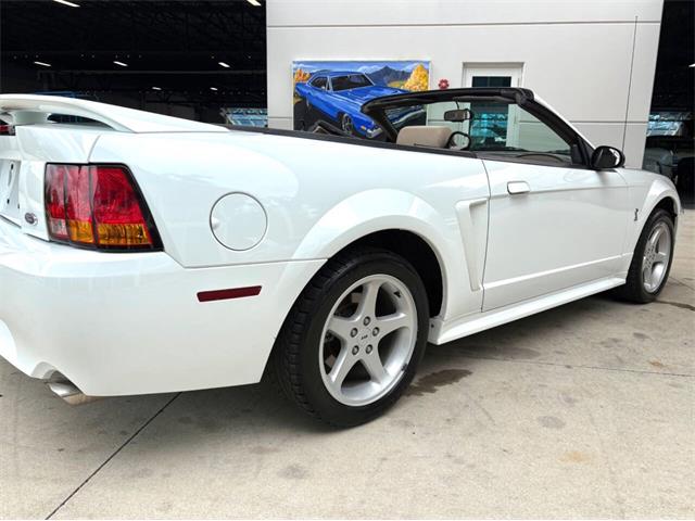 1999 Ford Mustang SVT Cobra (CC-2085650) for sale in Bradenton, Florida