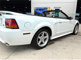1999 Ford Mustang SVT Cobra (CC-2085650) for sale in Bradenton, Florida