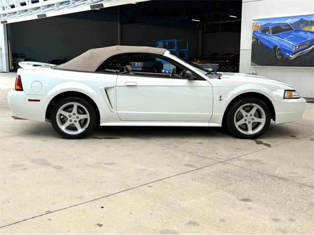 1999 Ford Mustang SVT Cobra (CC-2085650) for sale in Bradenton, Florida