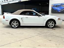 1999 Ford Mustang SVT Cobra (CC-2085650) for sale in Bradenton, Florida
