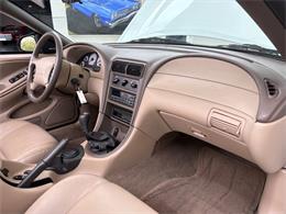 1999 Ford Mustang SVT Cobra (CC-2085650) for sale in Bradenton, Florida