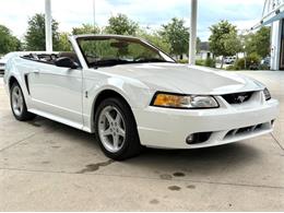 1999 Ford Mustang SVT Cobra (CC-2085650) for sale in Bradenton, Florida